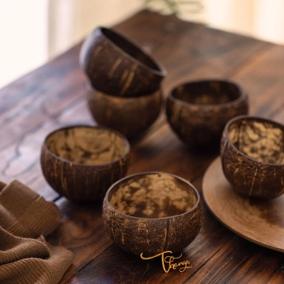 Raw Natural Coconut Shell Bowl- 350ml (Set of 2)